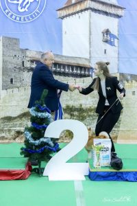 shiba inu akane-hinata kennel estonia