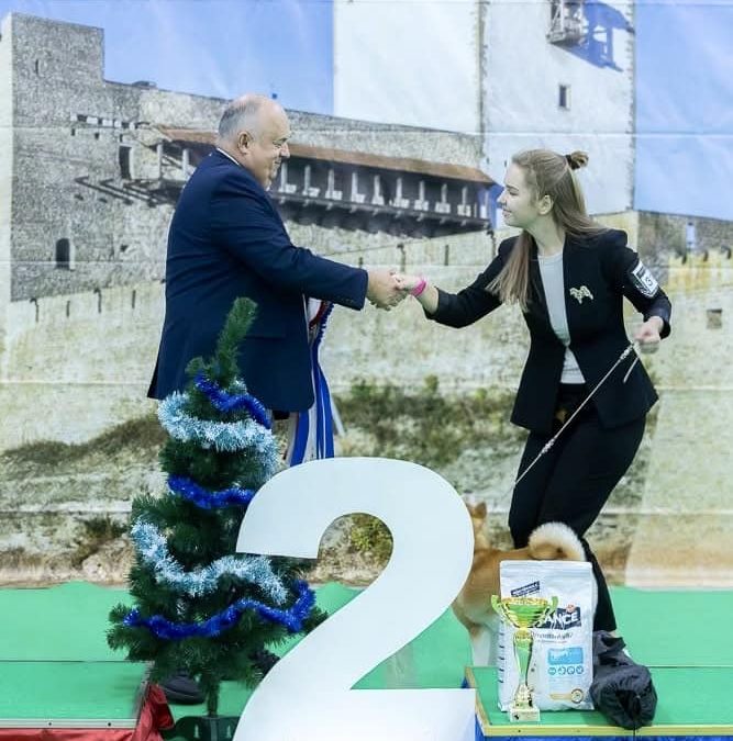 shiba inu akane-hinata kennel estonia