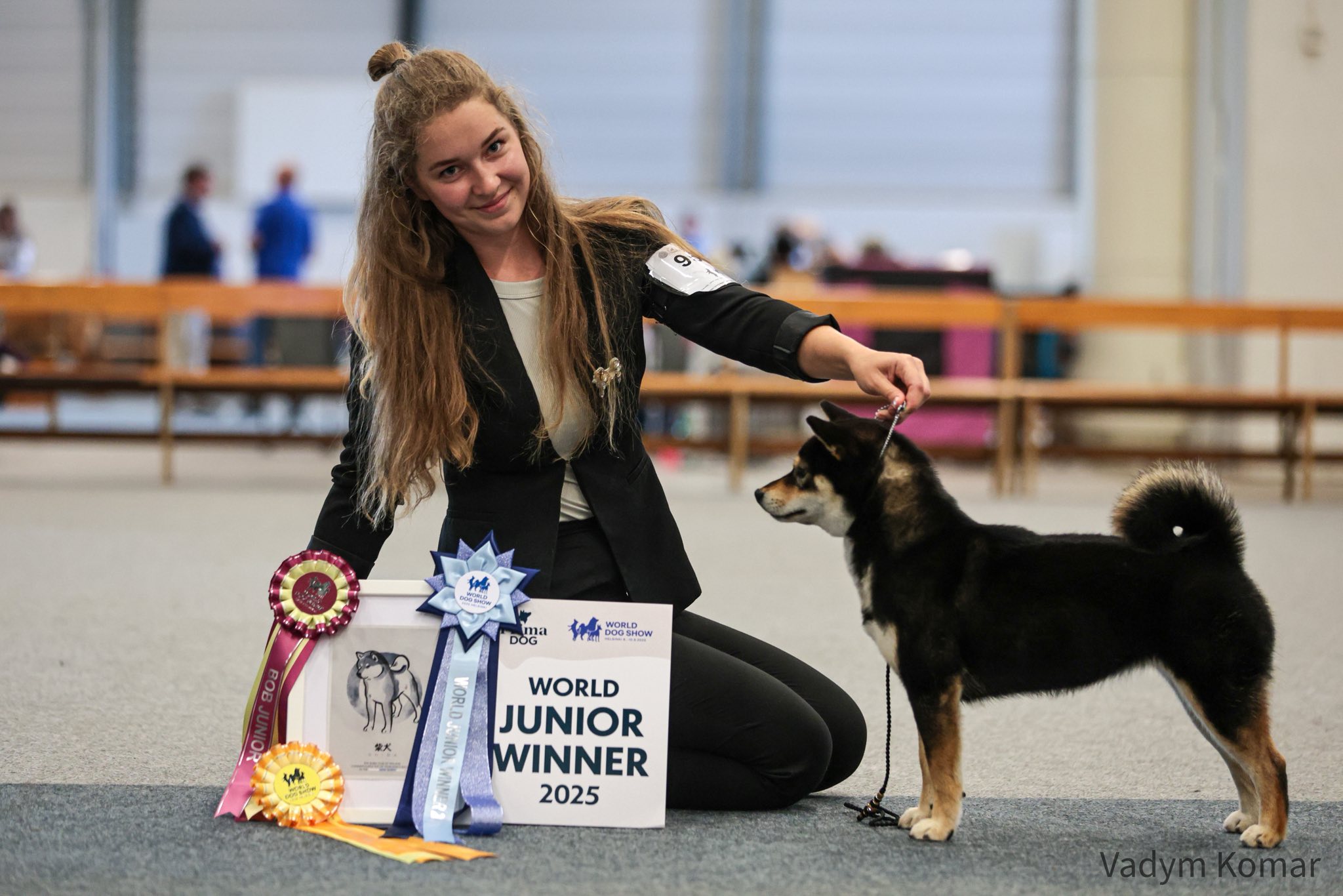 Shiba Inu dog junior world winner