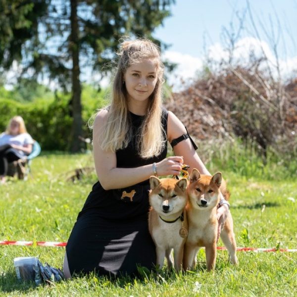 Shiba Inu breeder in Estonia